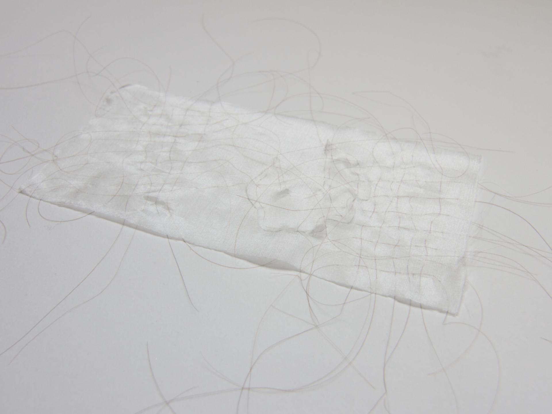 Ann Hamilton Work on display