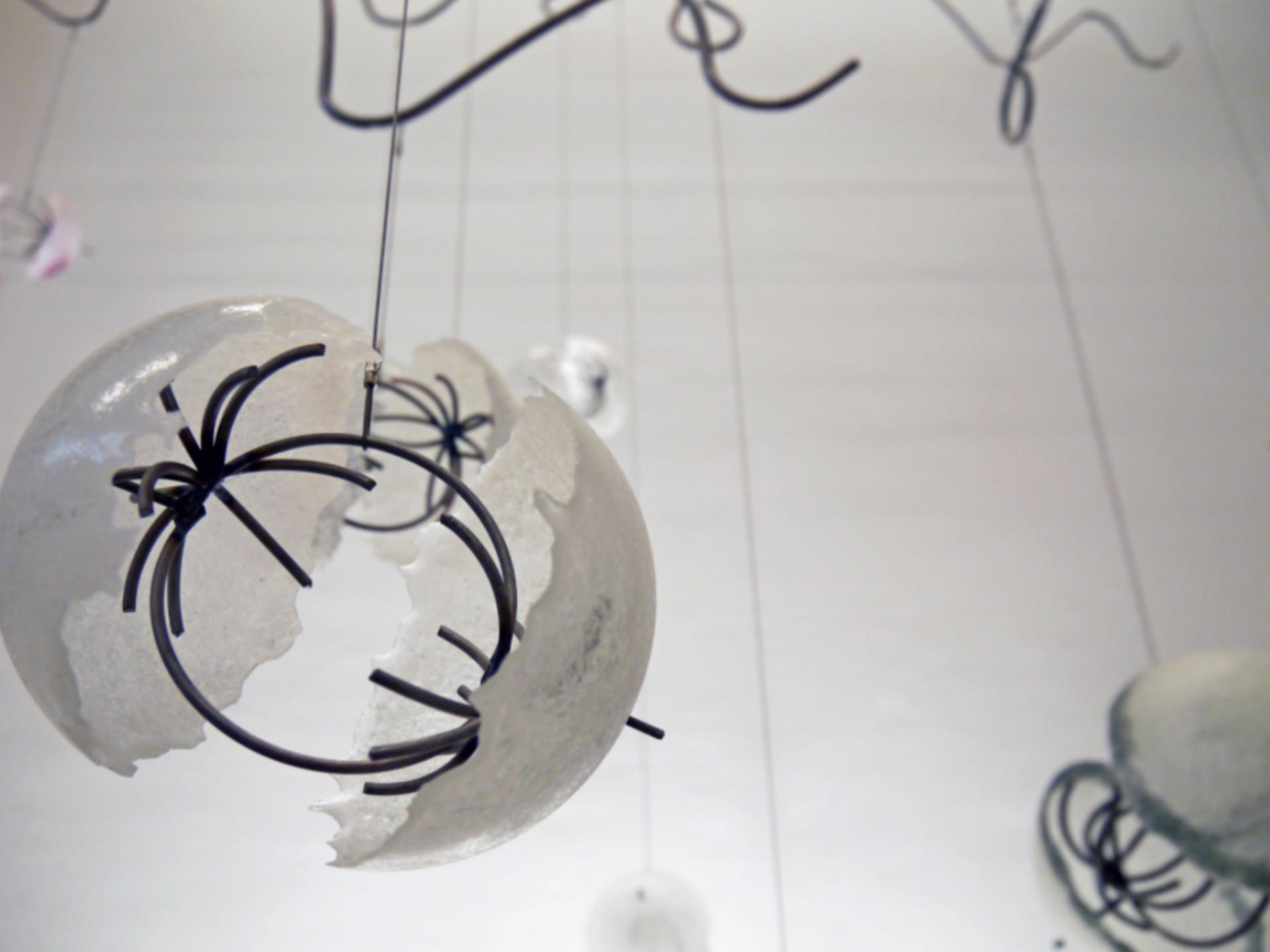Ann Hamilton Work on display