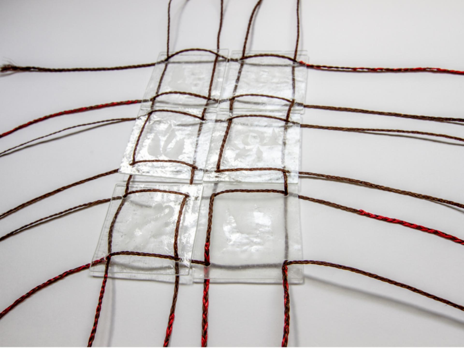 Ann Hamilton Work on display