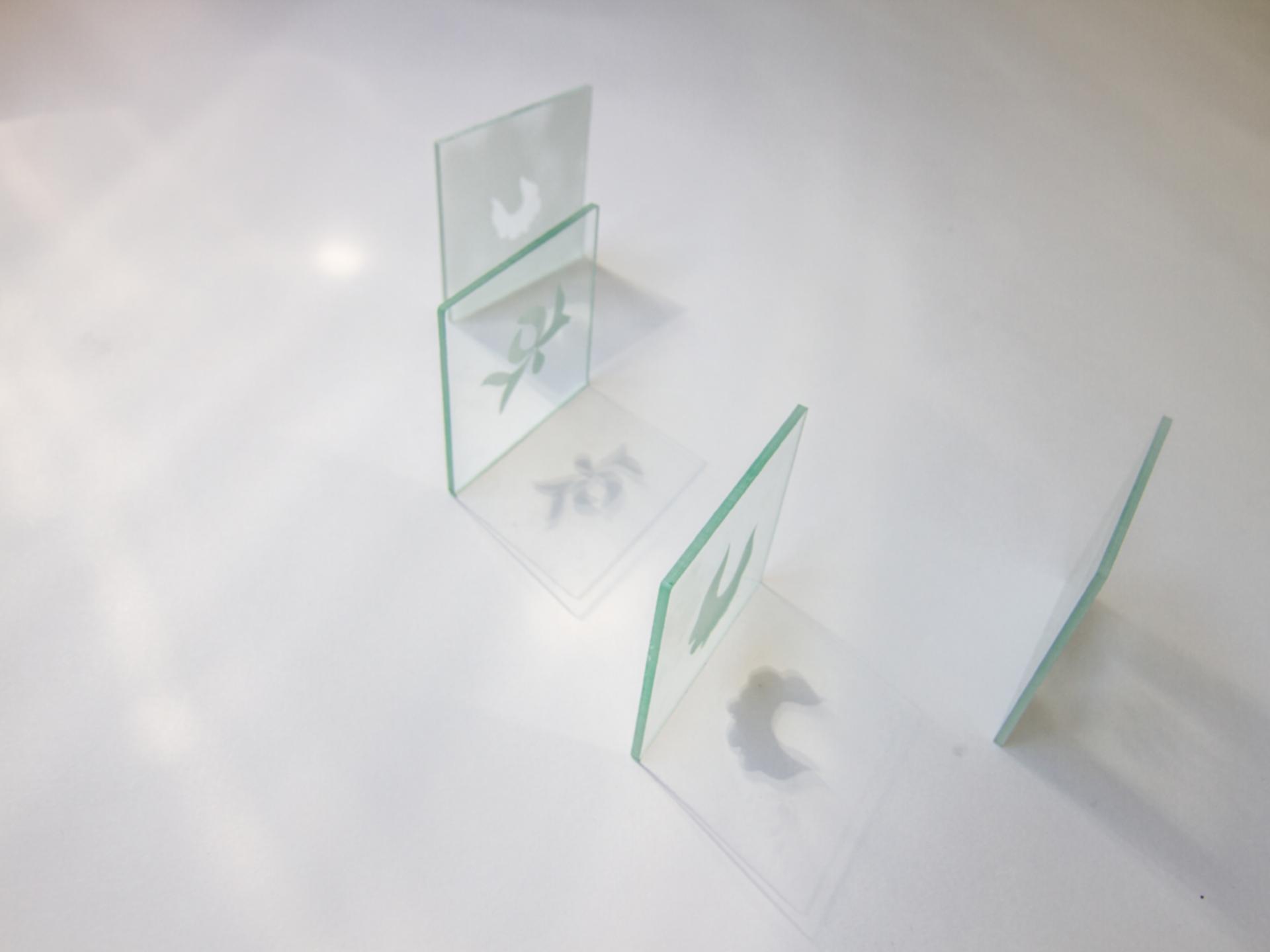 Ann Hamilton Work on display
