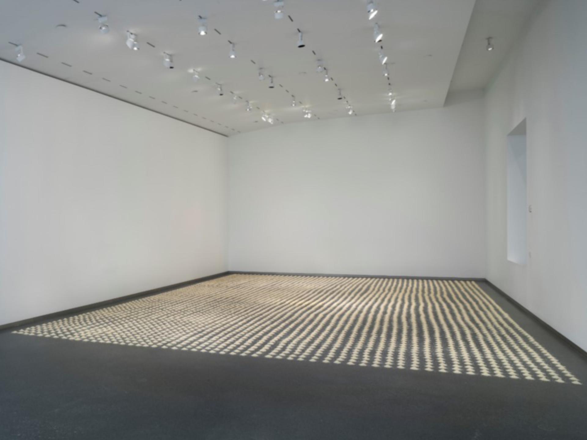 Ann Hamilton Work on display